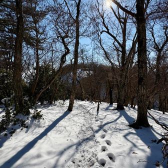 眺望のある鉄塔の方へ向かいます