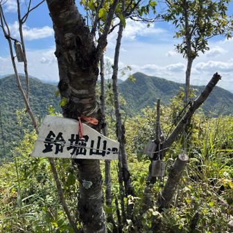 まさかと思うところを登って帰りに見つけた山頂プレート♪鈴堀山(すずほりやま)