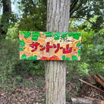 サントリー山に到着