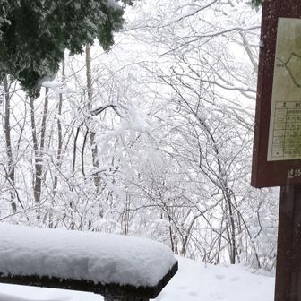 生藤山 25cmくらい積もってる
