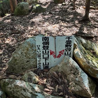 南登山口へ

これが間違い笑笑