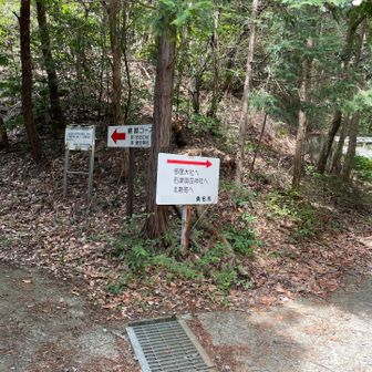 下山します。
ここは右へ