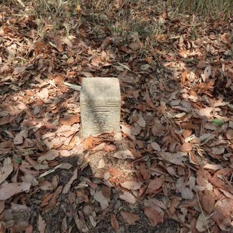 点名＝目賀根
標高＝361.19m
三等三角点