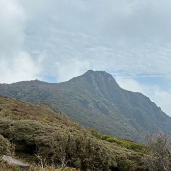 段原から大船山