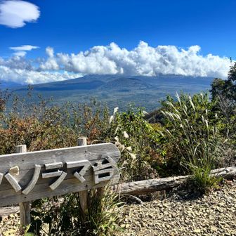 ゴール。笑
ごはん食べながらしばらく粘るも出てこず退散！💦