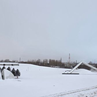 雪☃️降りだす直前…