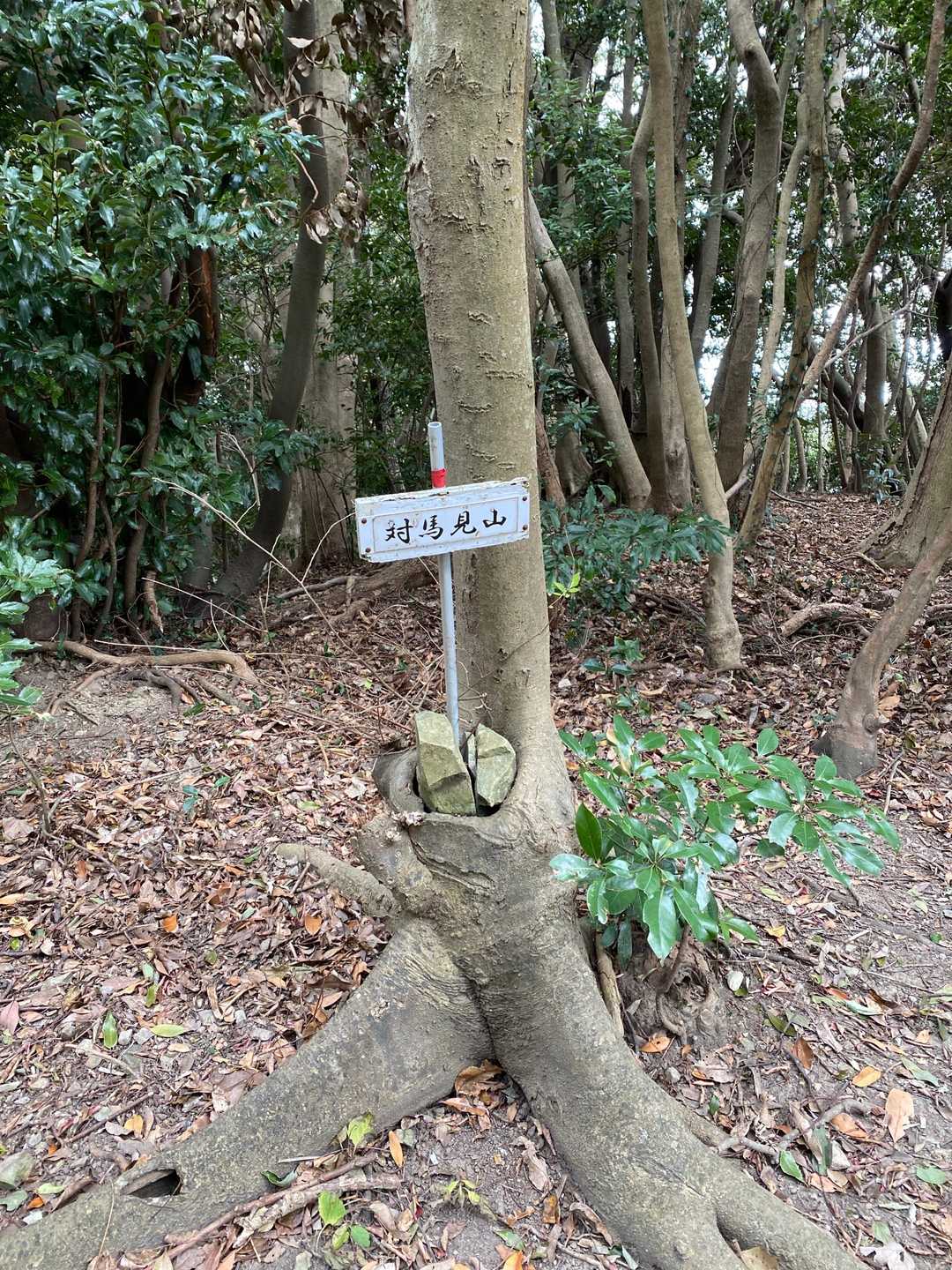 宮地嶽神社-宮地山-在自山-水落山-対馬見山-冨士白玉神社 縦走コースの写真