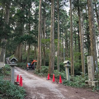 工事中の一の鳥居

同僚、登り余裕でした笑