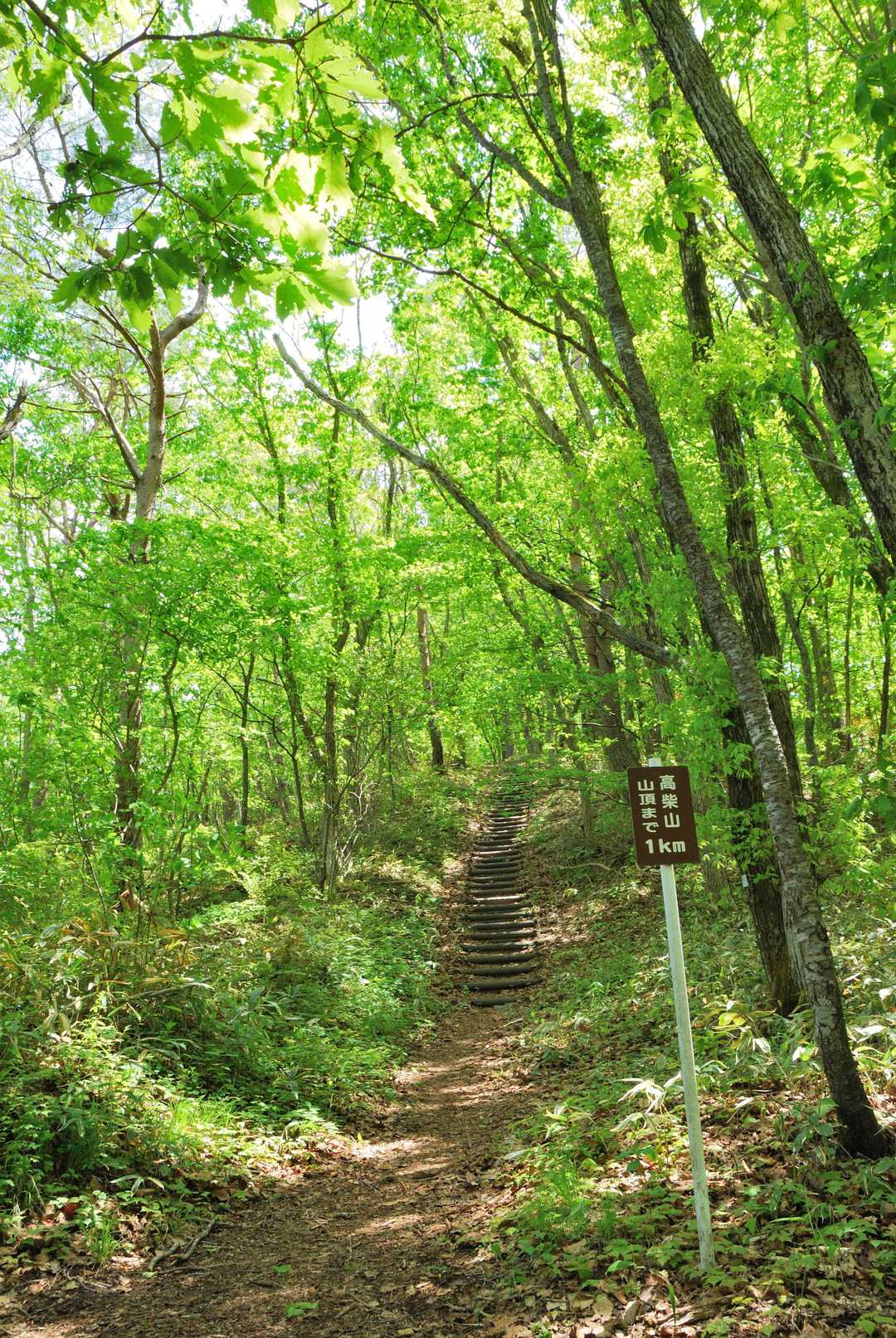 高柴山 周回コースの写真