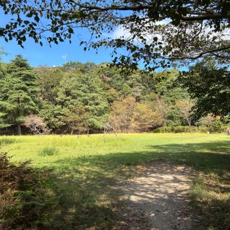 ヤング広場を駆け抜ける🏃‍➡️