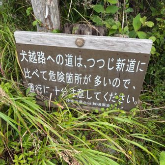 脅かさないで…💦と思う
