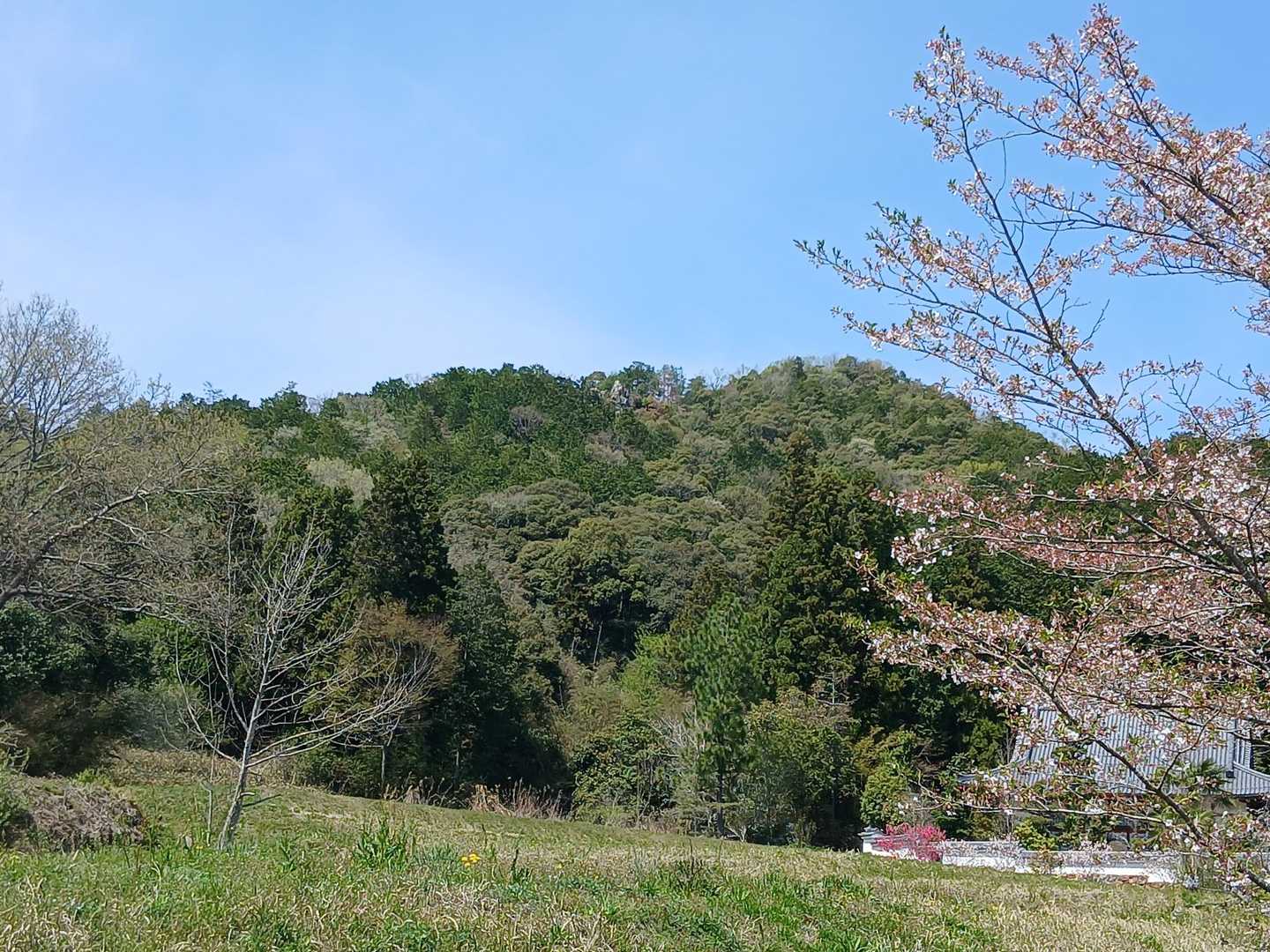 登ってきた井ノ山。岩場見えてます。