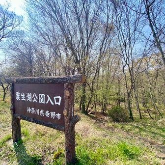 震生湖に寄り道しませう