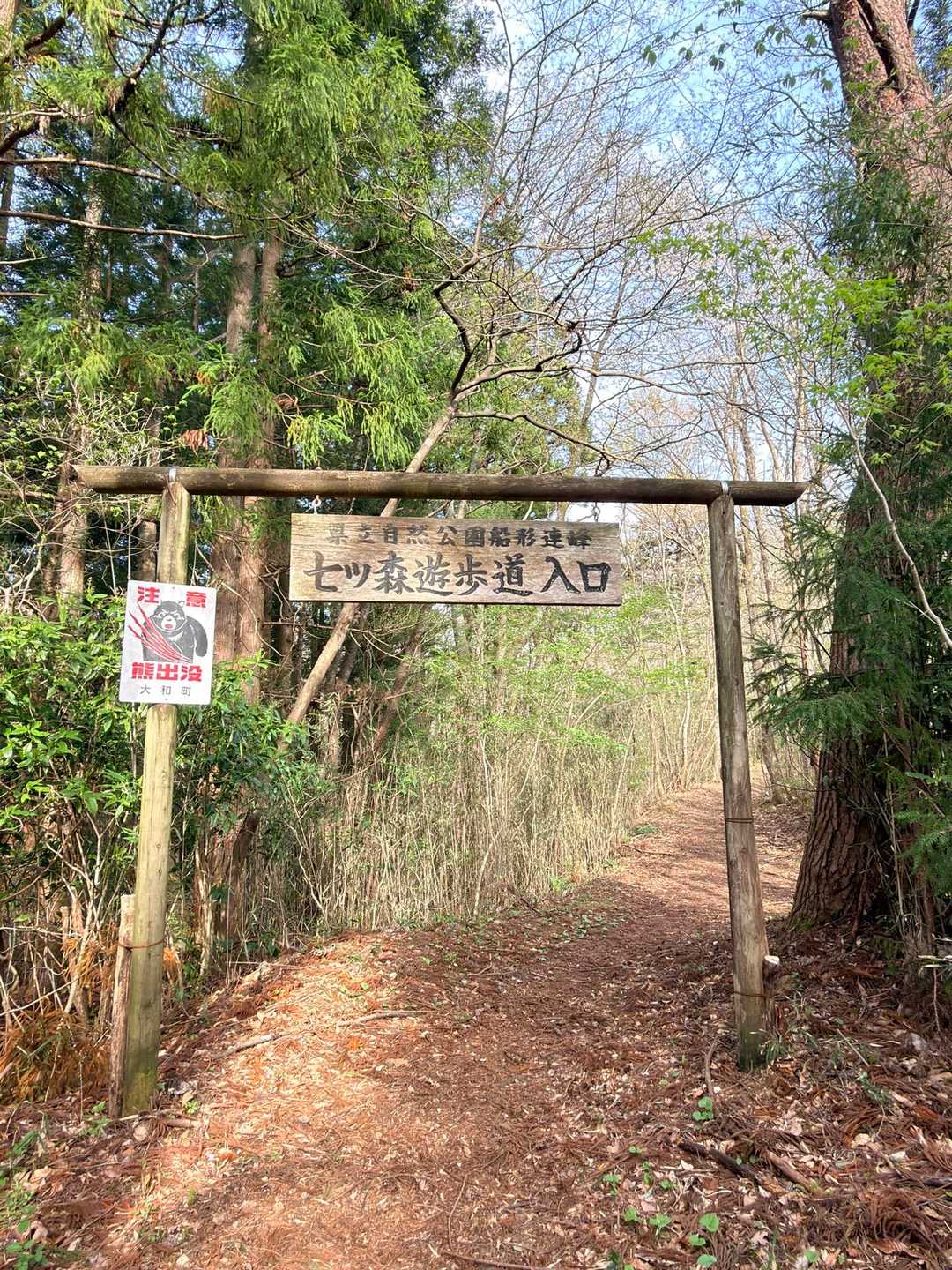 信楽寺跡登山口-松倉山-撫倉山-大倉山 周回コースの写真