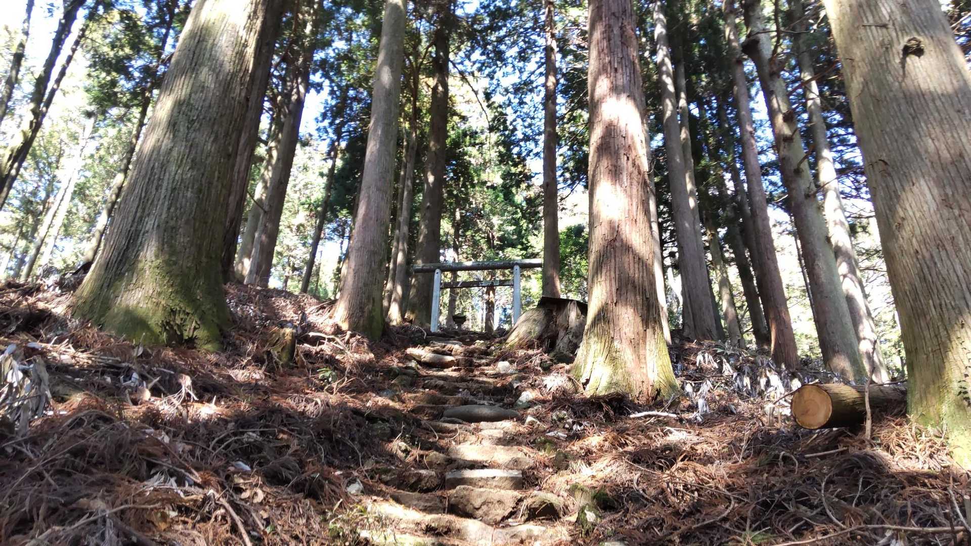 また鳥居⛩️