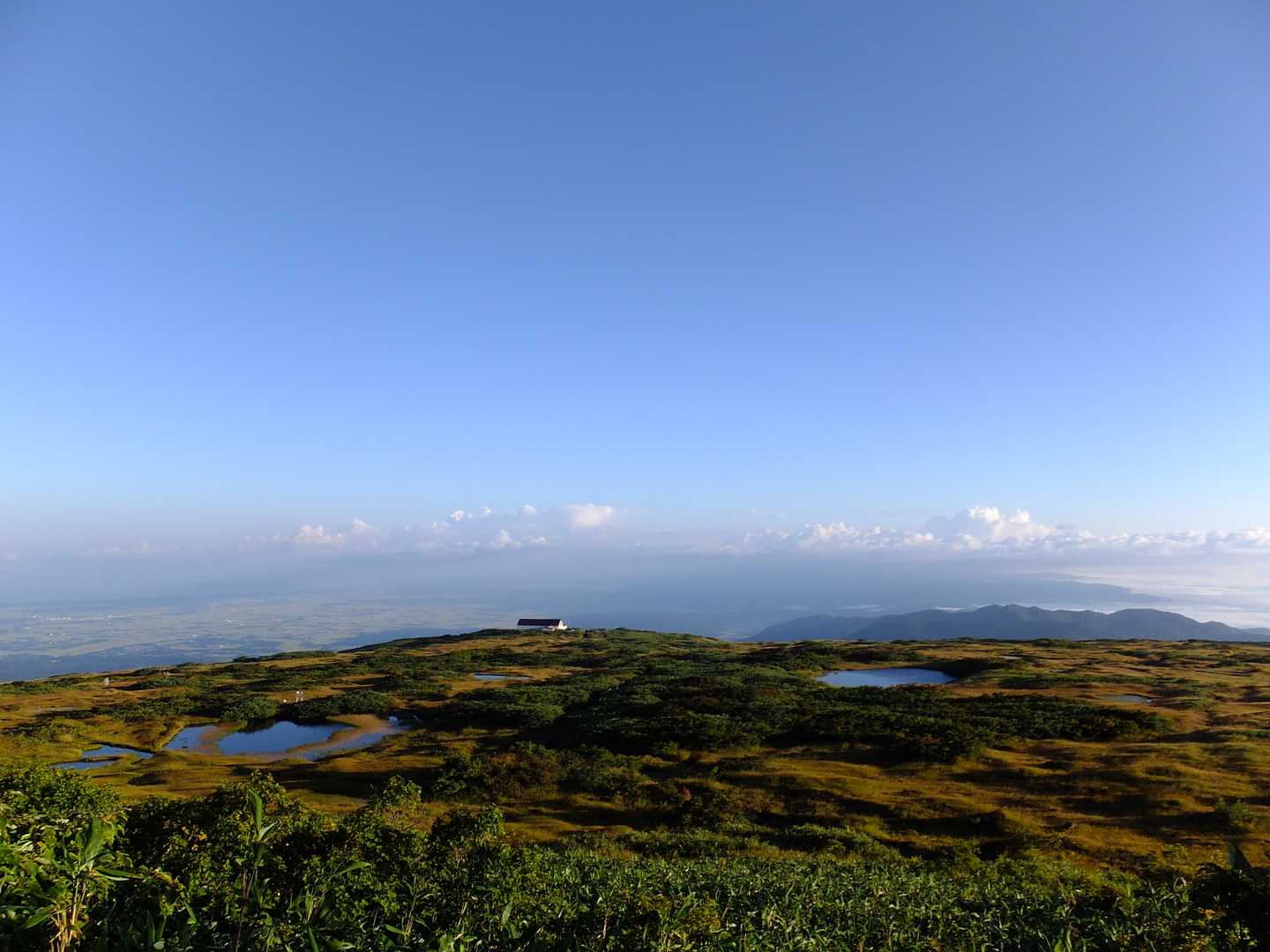 月山八合目往復 | 夏は残雪と花の楽園、秋は黄金に染まる草紅葉、四季折々の魅力の写真