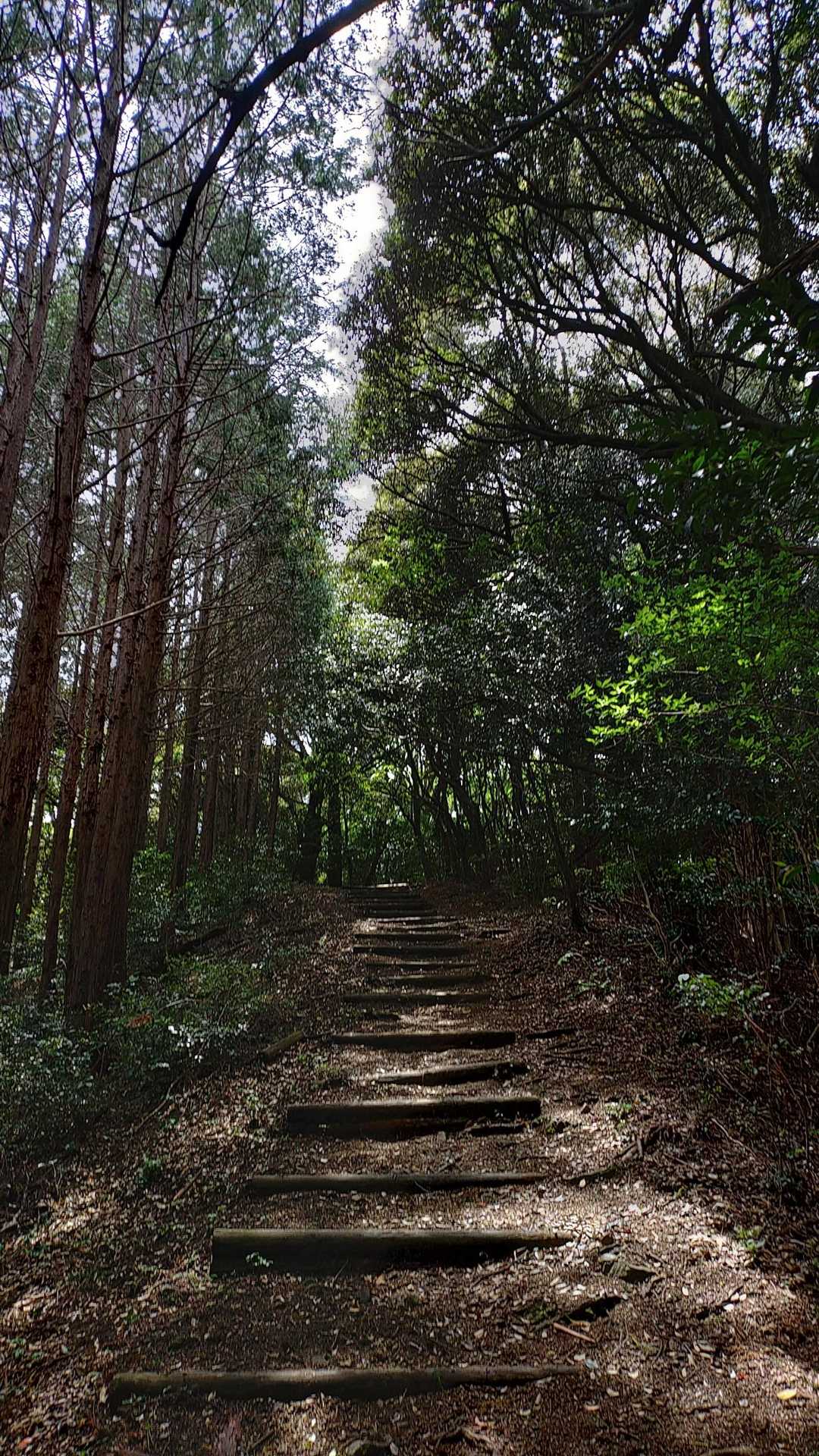 ほんと、良い道🙂