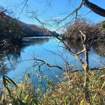 白旗池周囲を歩いて