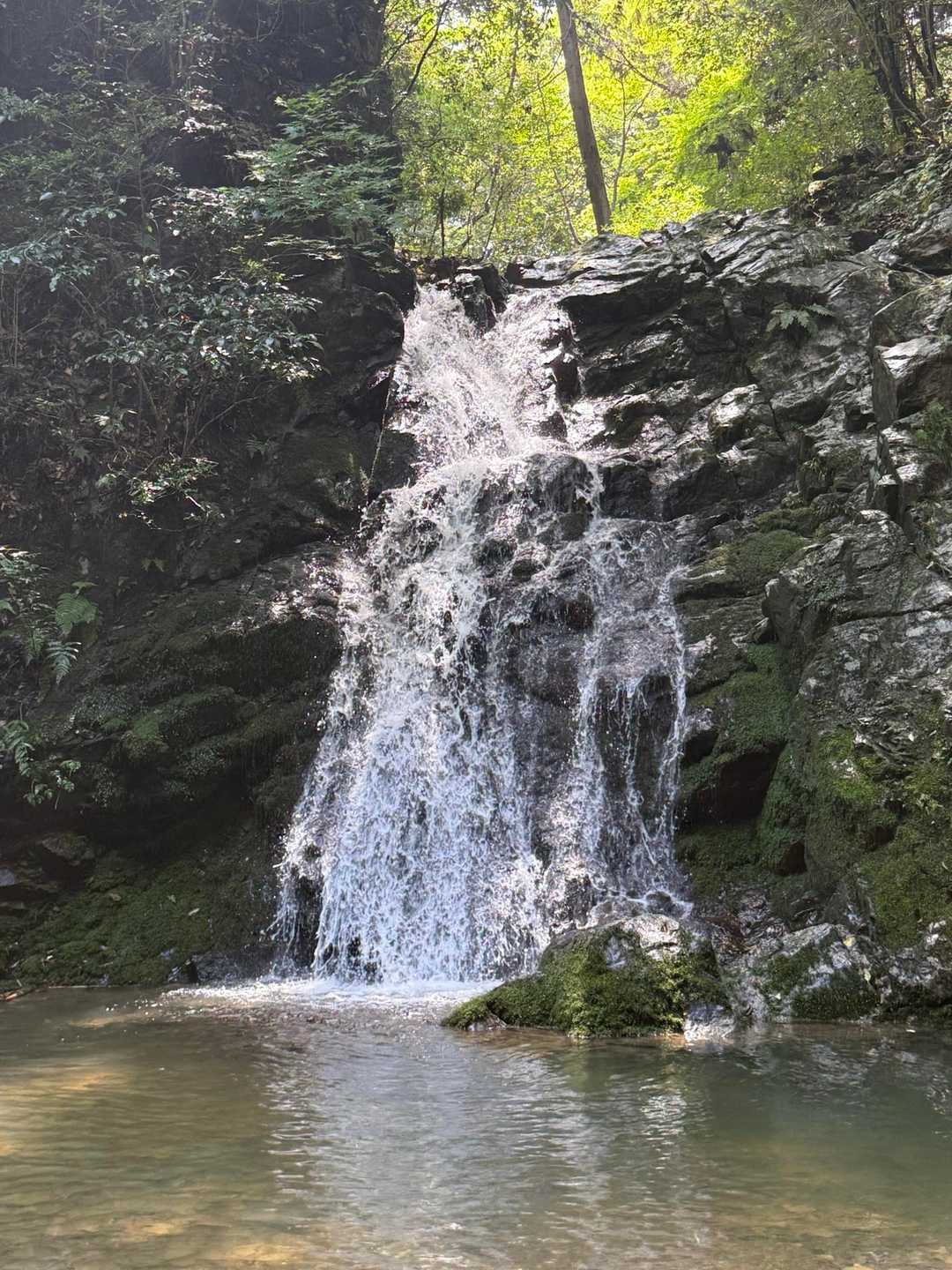 三好山・摂津峡｜芥川の清流が織りなす水辺の絶景と大パノラマの写真