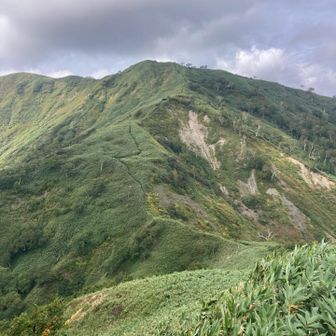 辛い焼きそばを水飲みながら意外と完食出来て下山。
