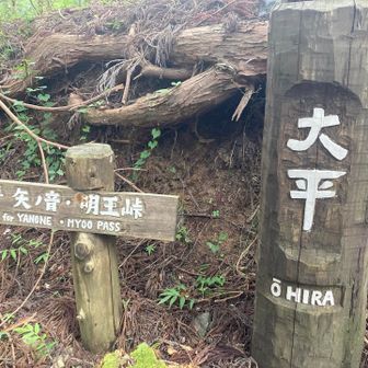ふと、
このあたりの標識、手彫りで可愛(｡･ө･｡)