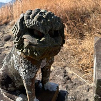 こちらも可愛い😍なんかオシャレ✨