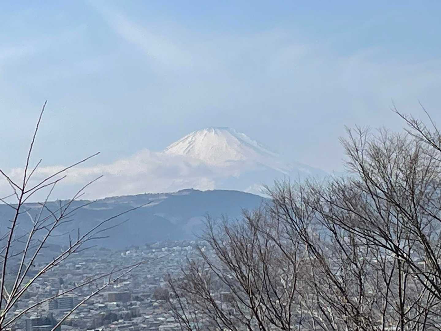 弘法山公園入口登山口-権現山-弘法山-善波峠-吾妻山-弘法 縦走コースの写真