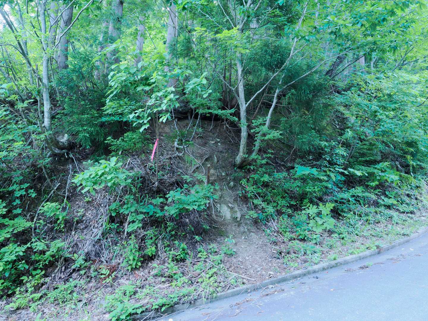 木こり新道でショートカット