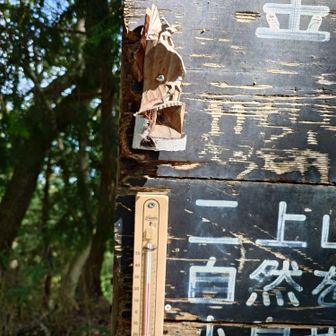 わかりにくいけど涼しい