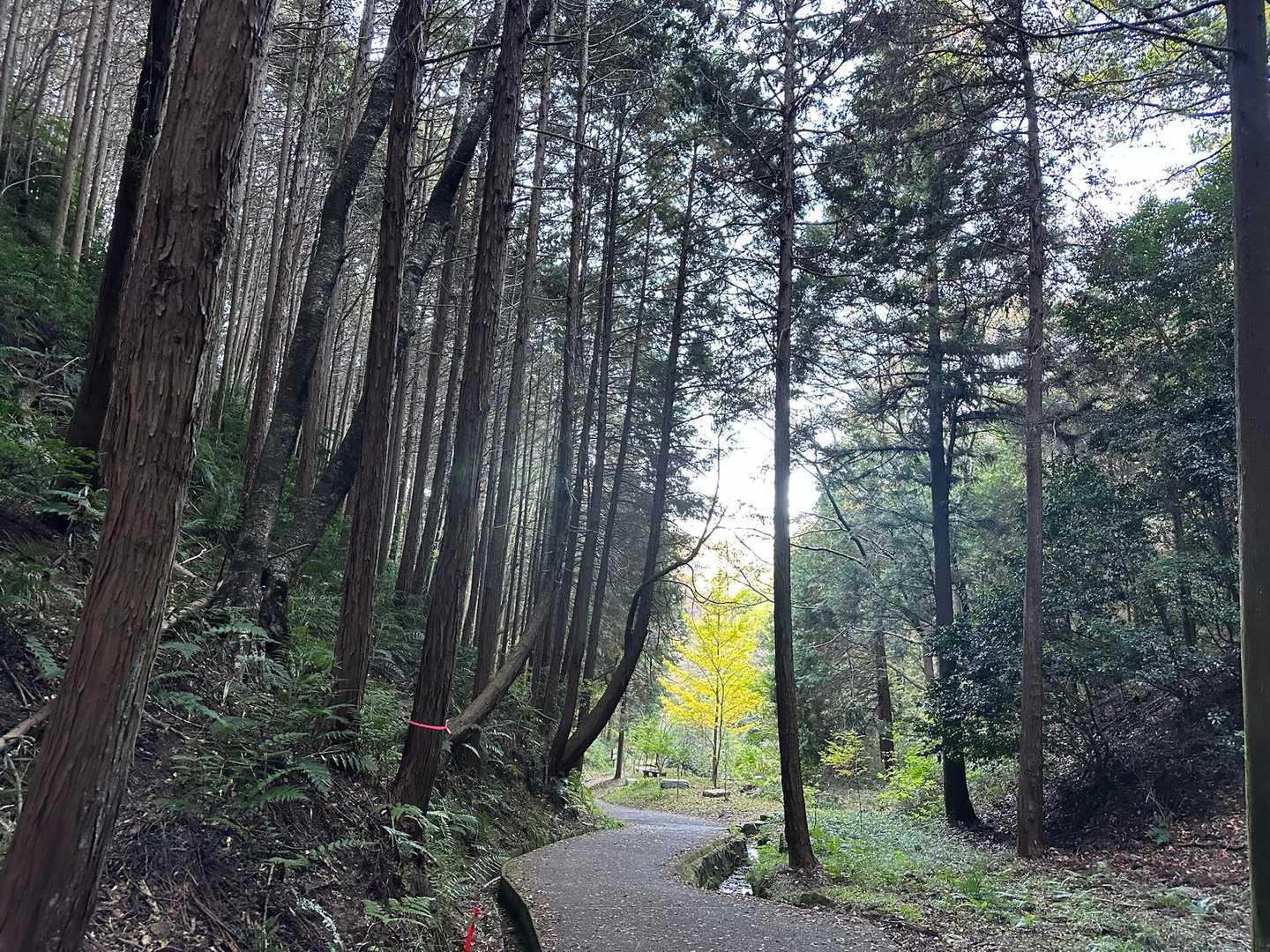 すっかり明るくなり😊今日も暖かくなりそうです🎵