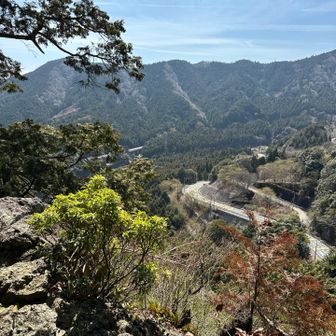 R1が良く見える🚗