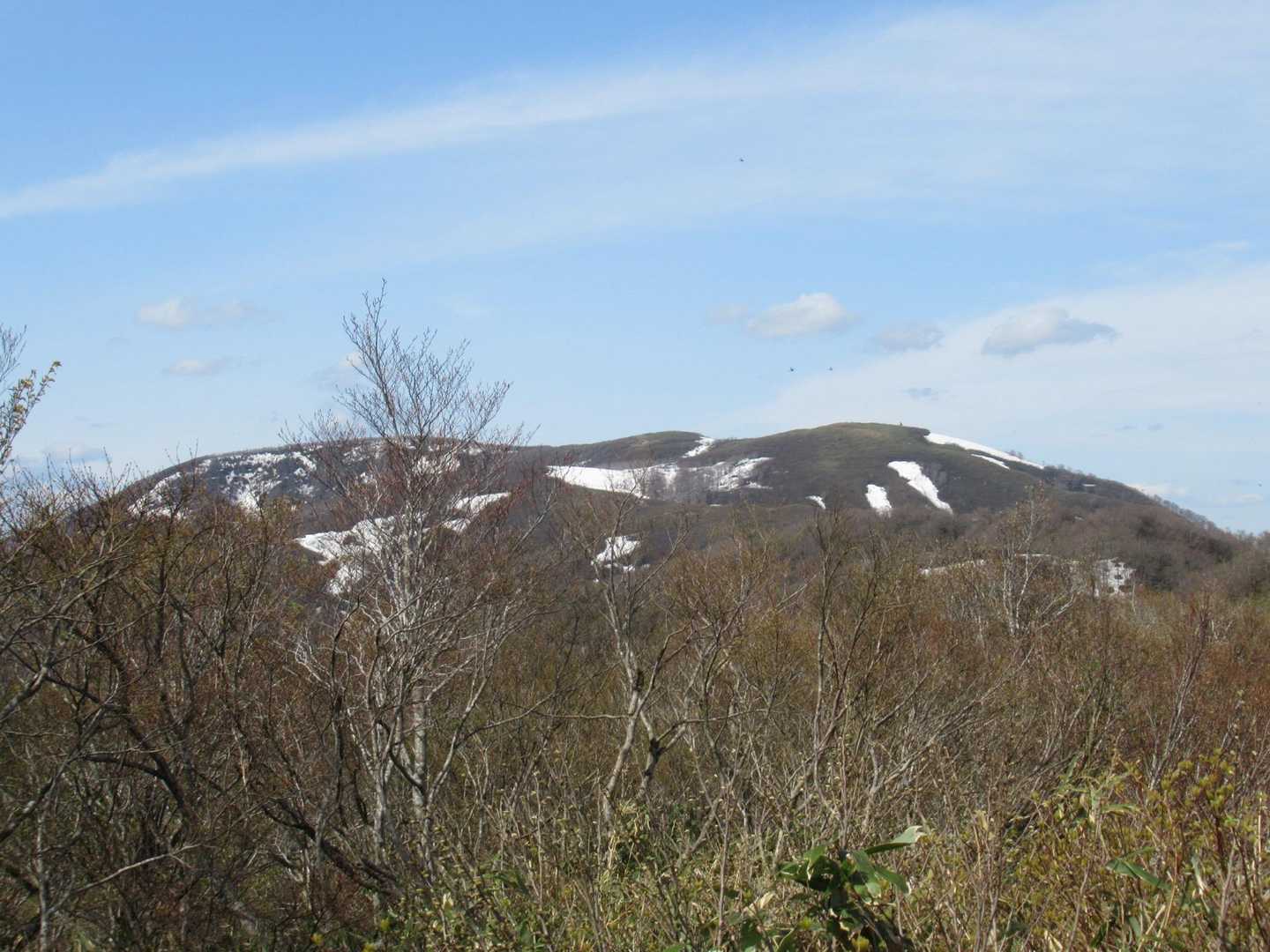翁山かな？