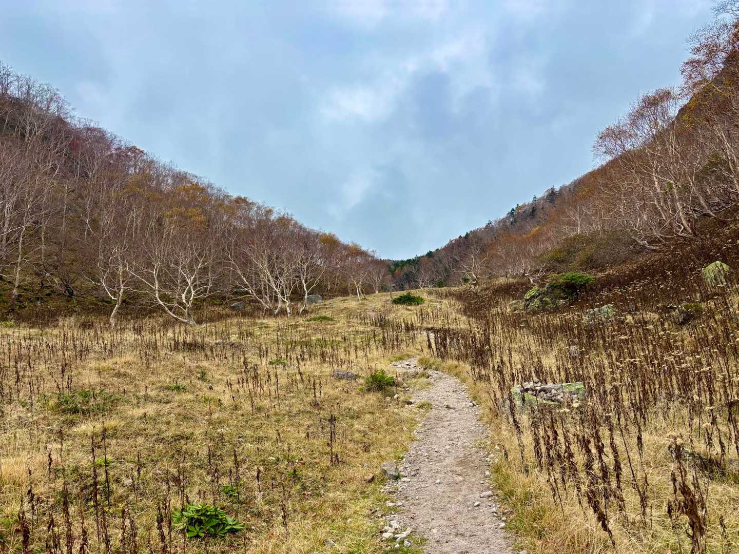 五色沼まであと少し