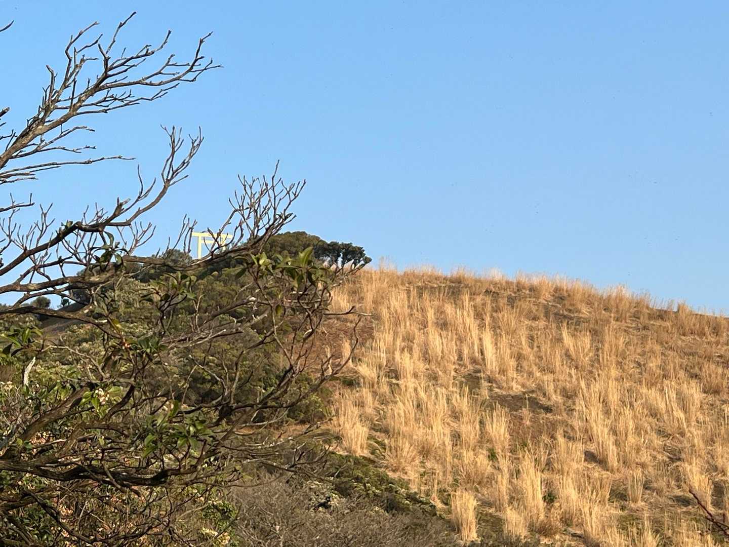 山頂発見