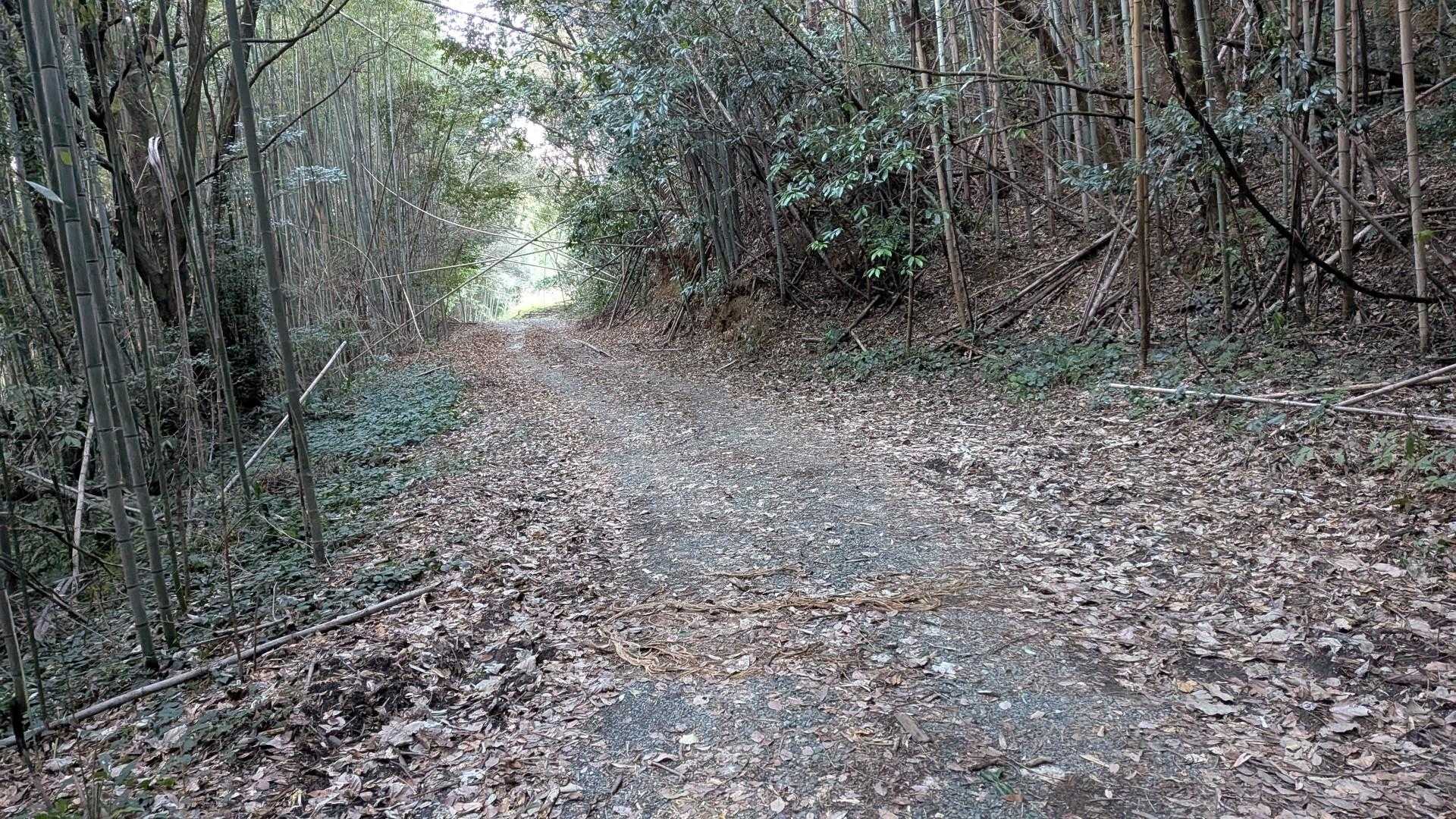 身体が重くなっちゃったなぁ