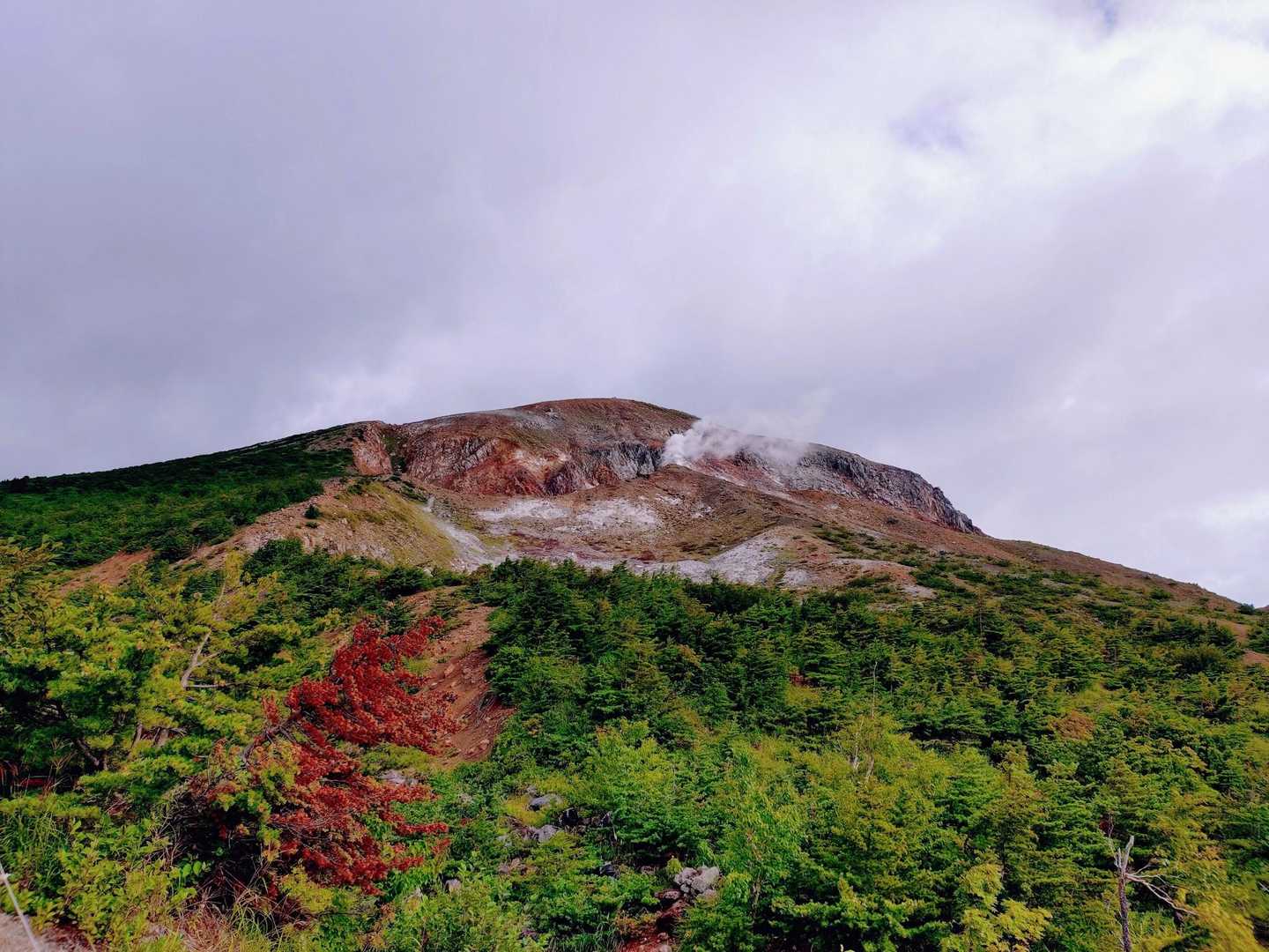 火山性ガス噴出中🙈