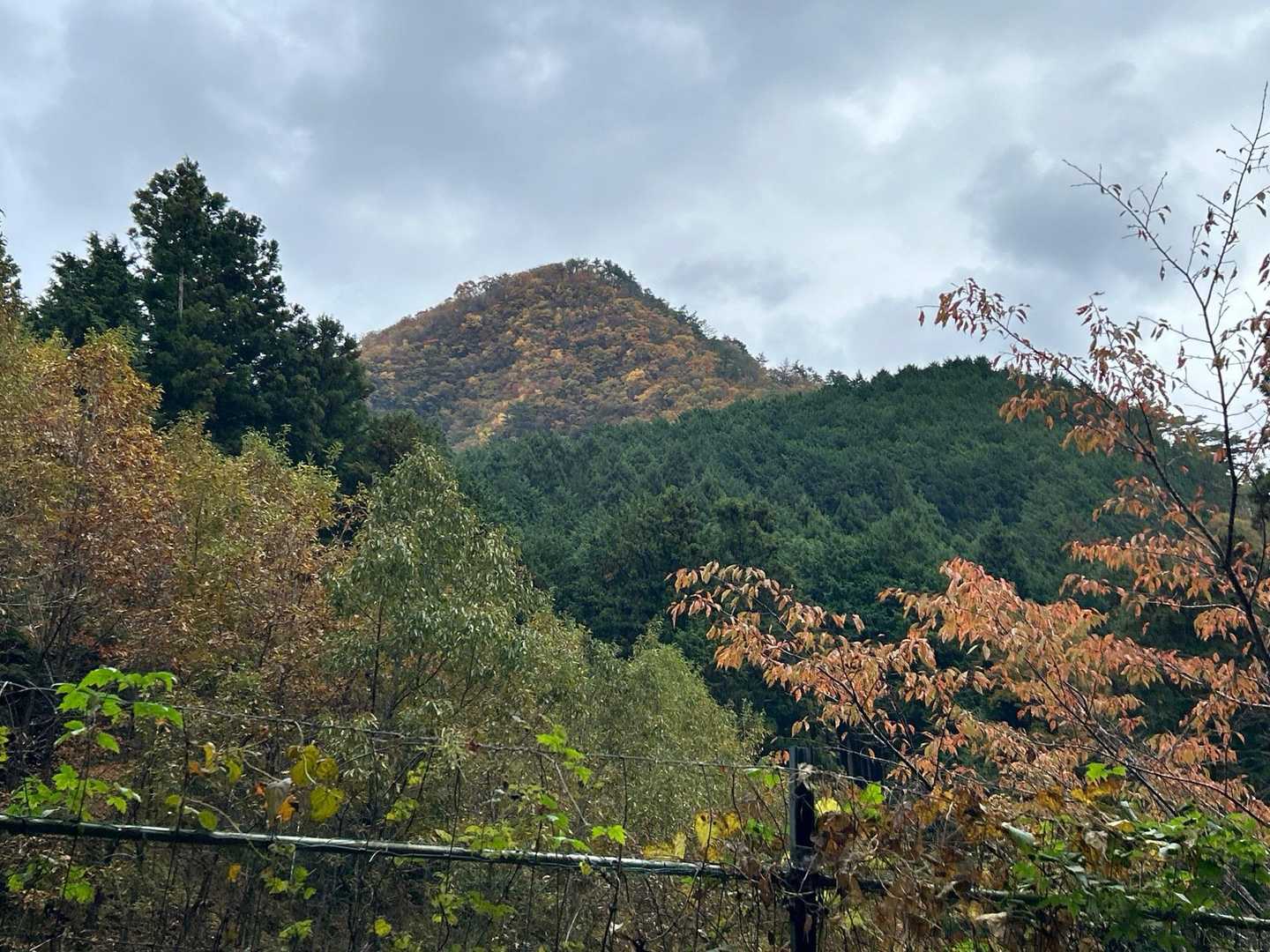 兜岳振り返りました。