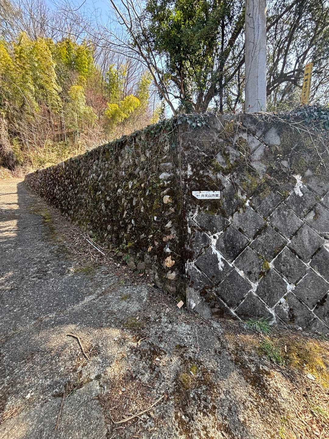 小峰公園ビジターセンターに駐車して　城山登山口から