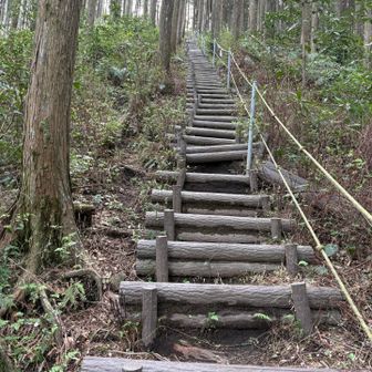 舟見岳からの下りが大変。土砂崩れのためか土がえぐれている。