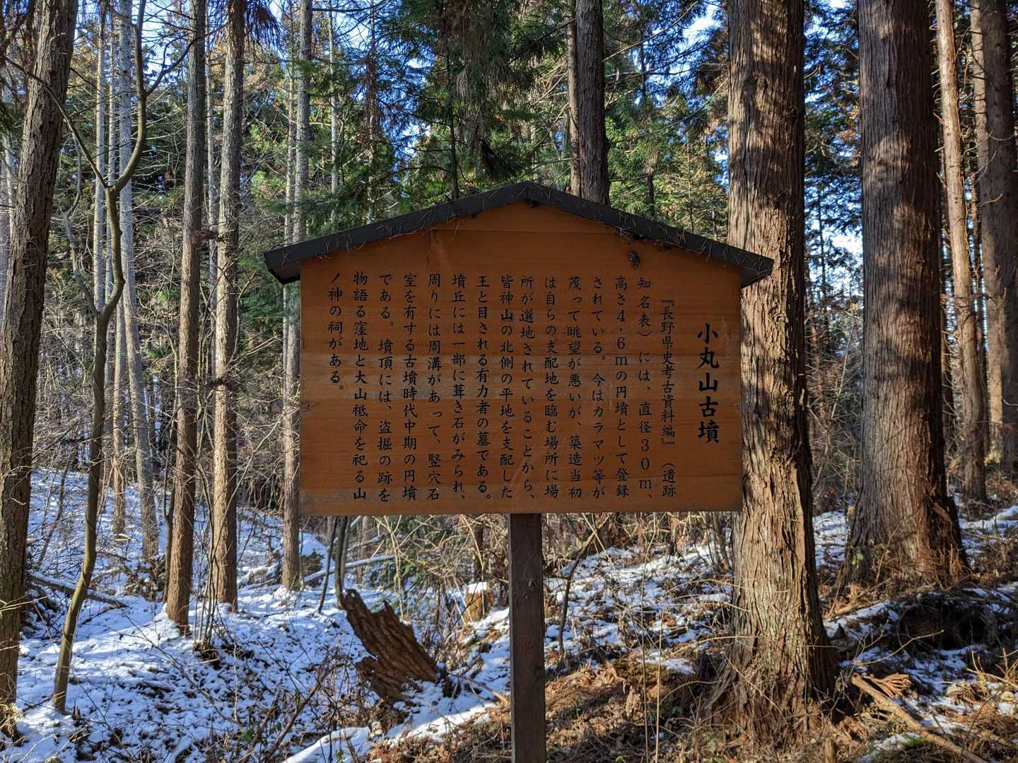 皆神山 往復コースの写真