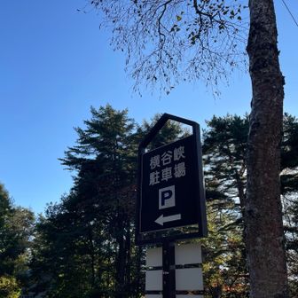 久しぶりの10時間❗️おつかれ山でしたぁ‼️