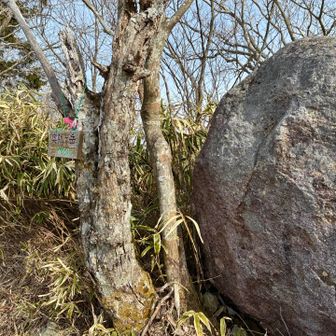 奥瓢ヶ岳山頂に到着しました。