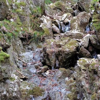 神社横の沢も一部凍結