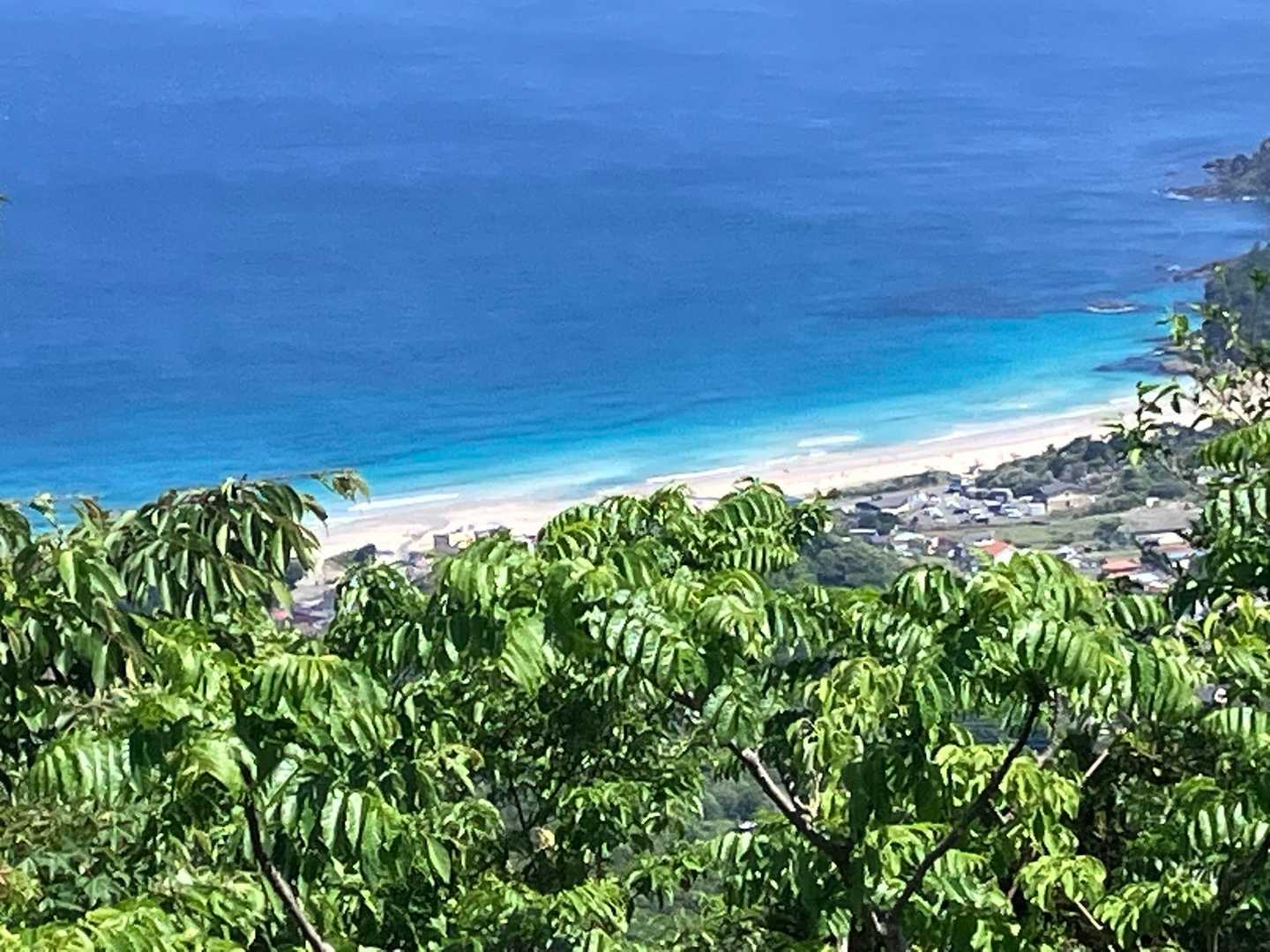 手を伸ばしてなんとか見える白浜海岸