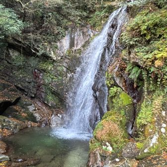 これが坊主ヶ滝です。