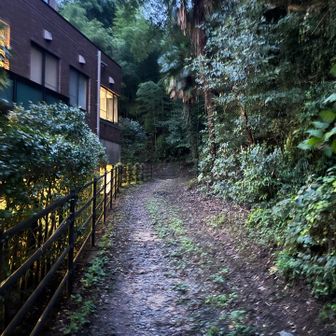 海老山⛰️への登山口、広くなってる😲
アザース🙇