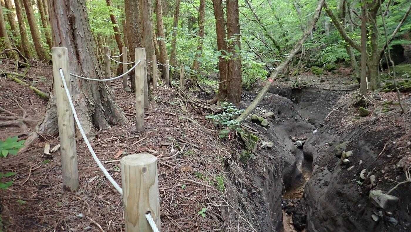 右が昔の登山道。
今はまったく歩けない。