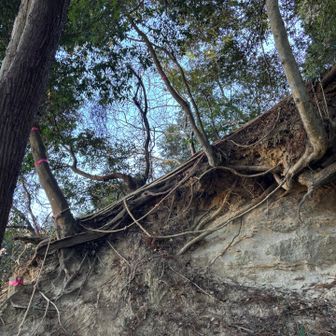 もうすぐ下山で道路が見えるのにとても降りにくい
今日1番ビビったかも💦