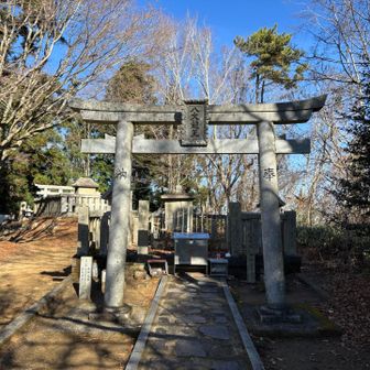 どうやらこの龍王神社の横がピークみたいです。
標高858m。