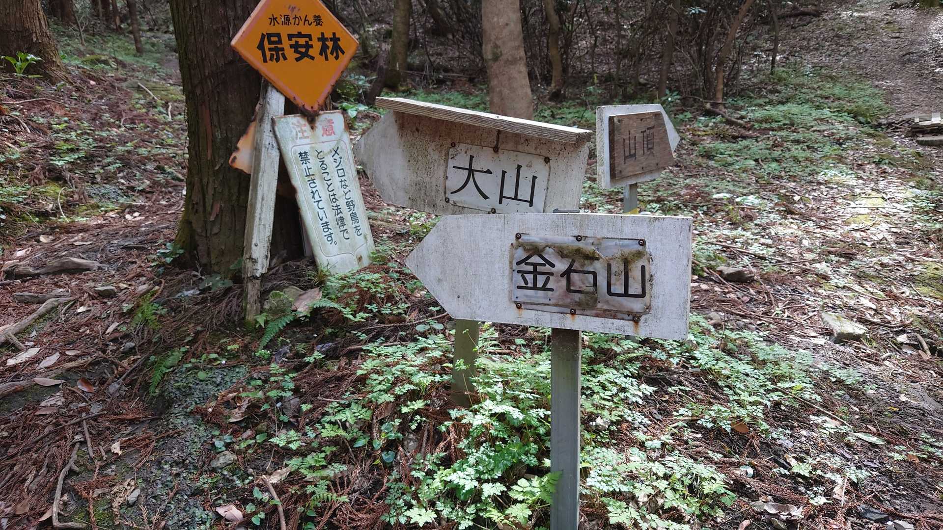 まずは、金石と大山へ